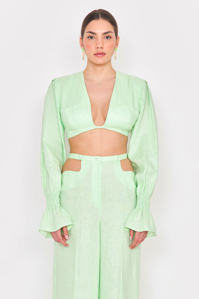 Linum Crop