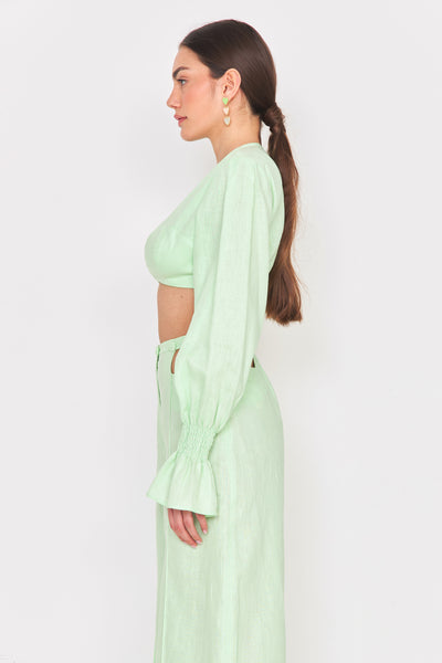 Linum Crop