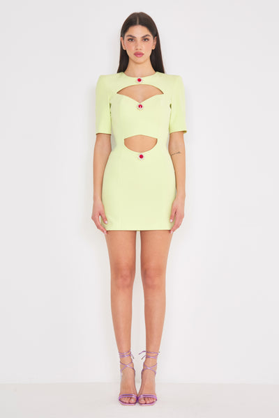 Rubin Dress Light Green