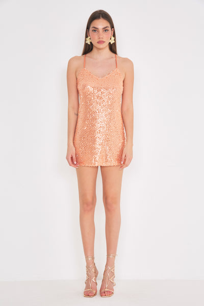 Net Mini Dress