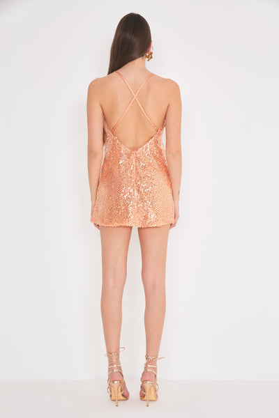 Net Mini Dress